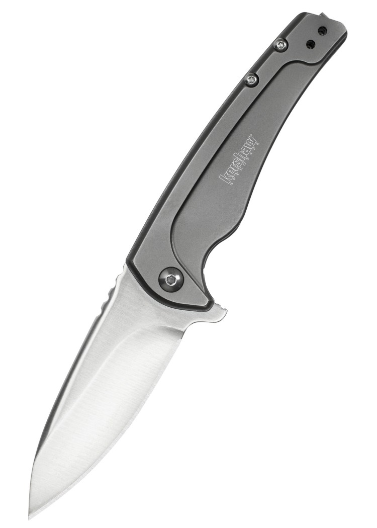 Folder Kershaw Intellect Repliky.INFO